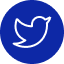 twitter-icon